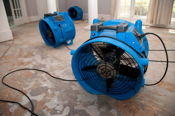 Best Water damage restoration near me  in Surgoinsville, TN