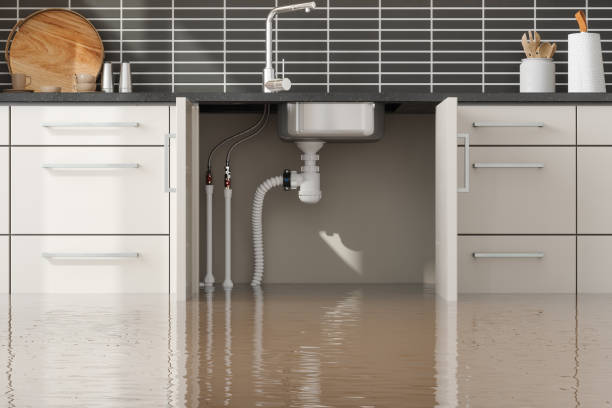 Carpet water damage restoration in Surgoinsville, TN